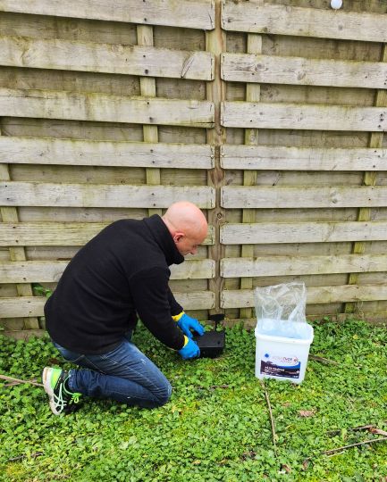 Pose d'appâts pour souris et rats